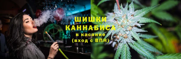 ГАЛЛЮЦИНОГЕННЫЕ ГРИБЫ Нязепетровск