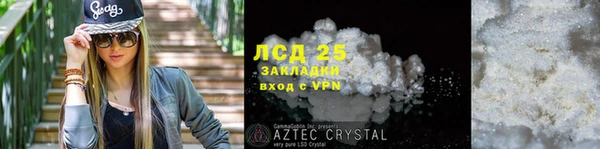 ГАЛЛЮЦИНОГЕННЫЕ ГРИБЫ Нязепетровск