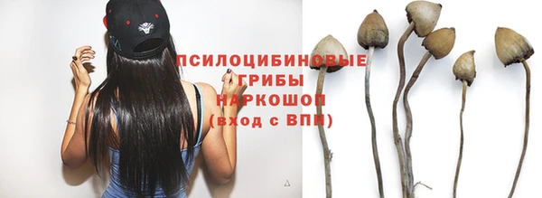 таблы Осинники