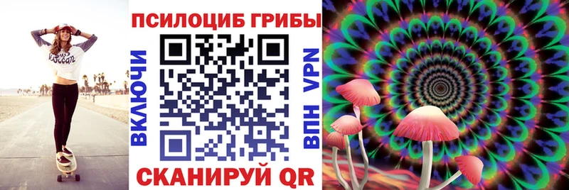 сколько стоит  OMG ССЫЛКА  Псилоцибиновые грибы Cubensis  Соликамск 