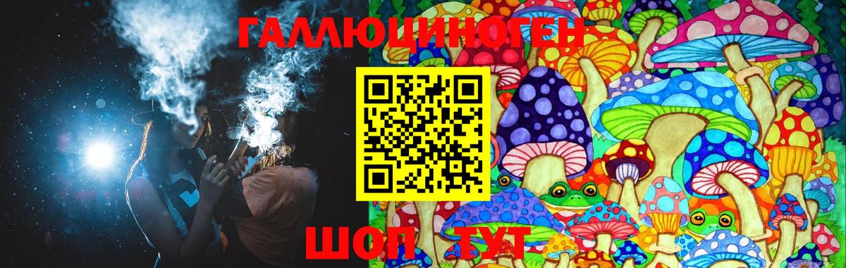 Соликамск  Галлюциногенные грибы Cubensis  Вход с VPN 